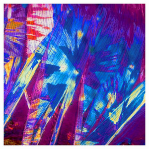 What They Called It - Demo - Album Art